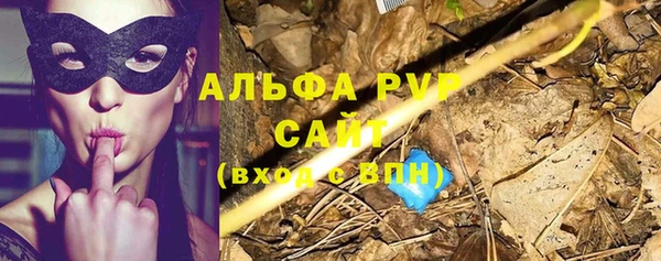 a pvp Абаза