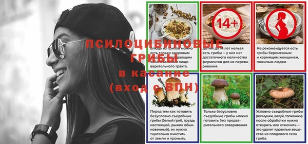 a pvp Абаза