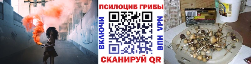 Псилоцибиновые грибы GOLDEN TEACHER  Химки 